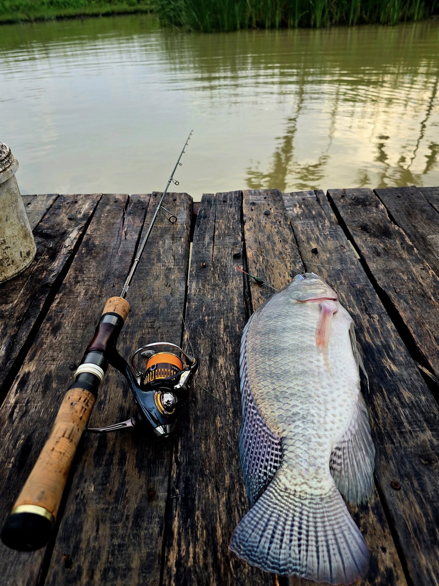 Fishing Estate